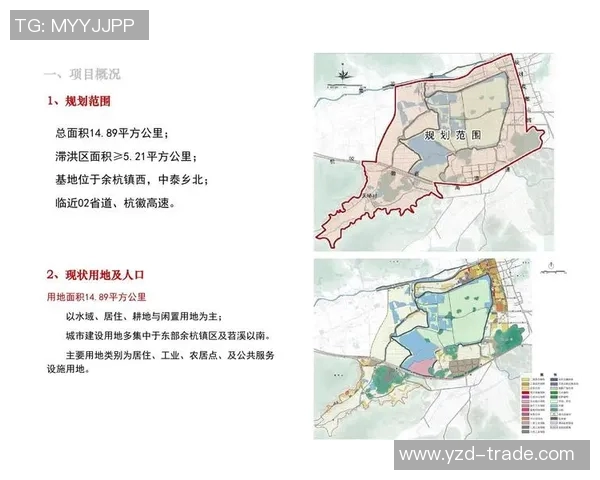 杭州乒乓球队在城市联赛中的表现分析与状态评估