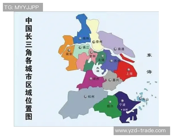 杭州乒乓球队实力分析与发展前景探讨聚焦乒乓球运动的未来潜力